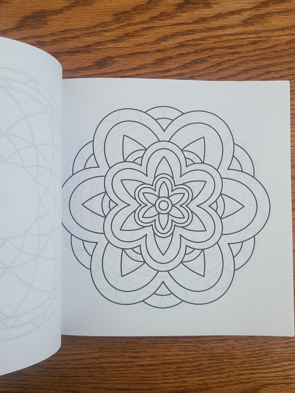 Easy Adult Coloring Book W/Ohuhu Glitter Markers - Picture 7 of 12